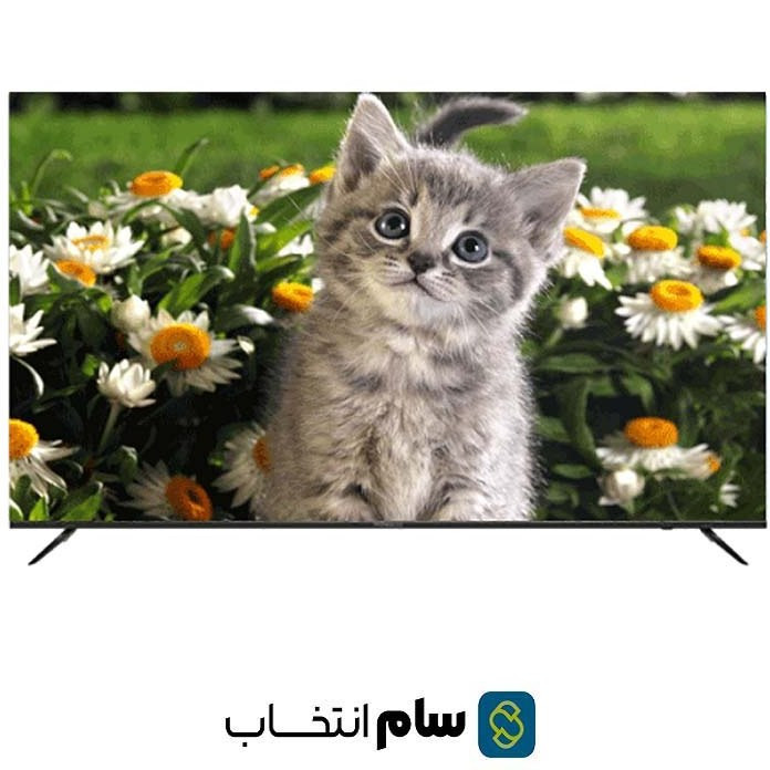 تلویزیون 65 اینچ هوشمند دوو مدل DSL-65SU1870