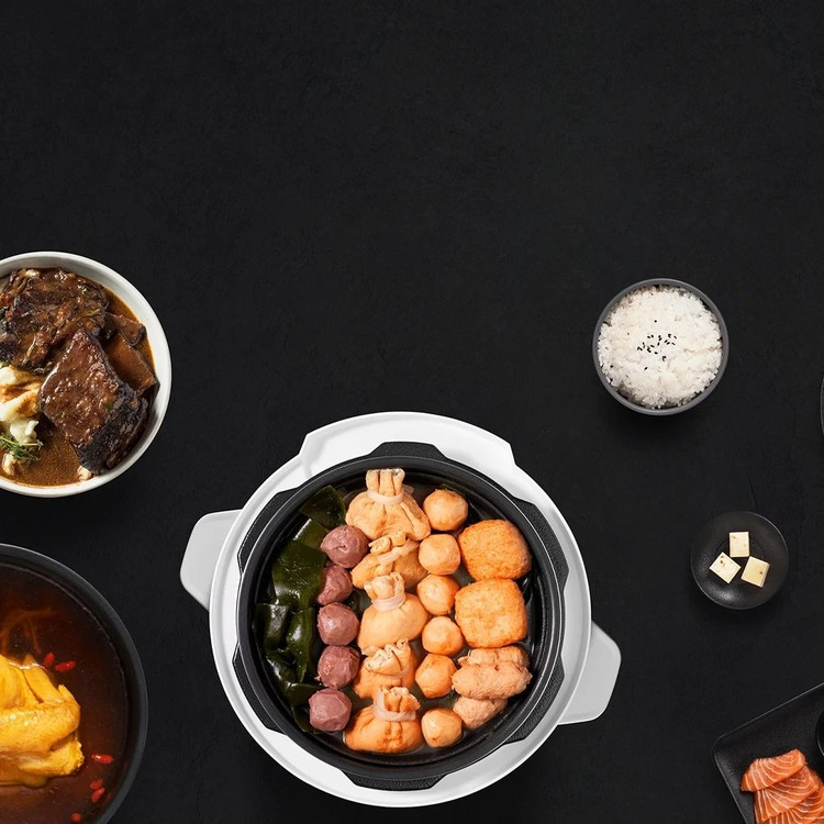 زودپز چند منظوره شیائومی مدل Xiaomi Electric Pressure Cooker 4.8L MYL02-2