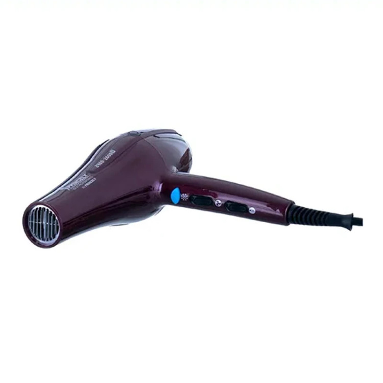 سشوار حرفهای 2400 وات پرینسلی مدل PR250AT