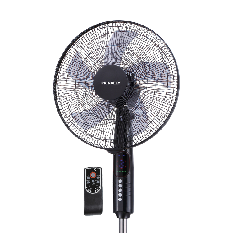 پنکه برقی ایستاده پرنسلی مدل SF9001